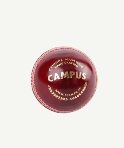 Leather Ball