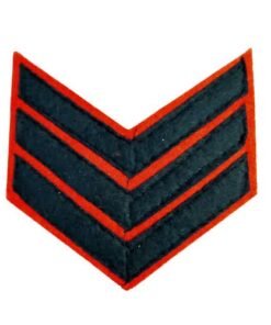 Buy Armywing Sargent Rank (single side) online at best price | Best NCC Shop